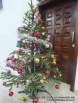 DSCF2366.jpg